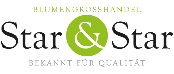 Star & Star Logo